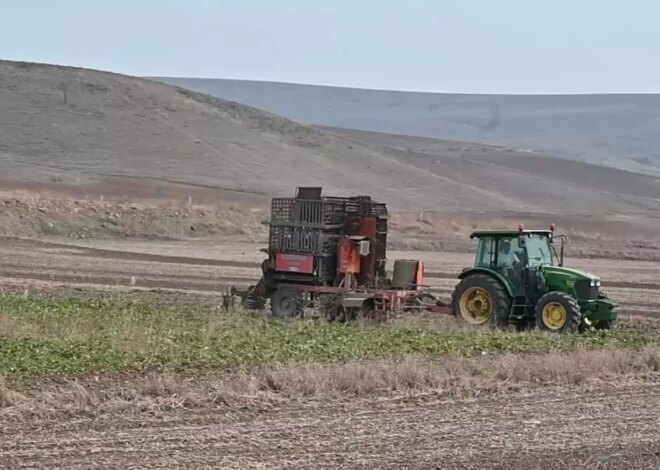 Pancar Çiftçileri Randevu Sistemiyle Zor Durumda