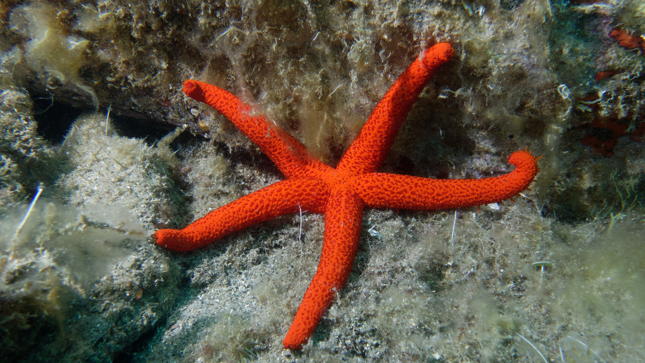 10 yildir devam eden gizemli olumlerin sirri nihayet cozuldu I8OgrUaI