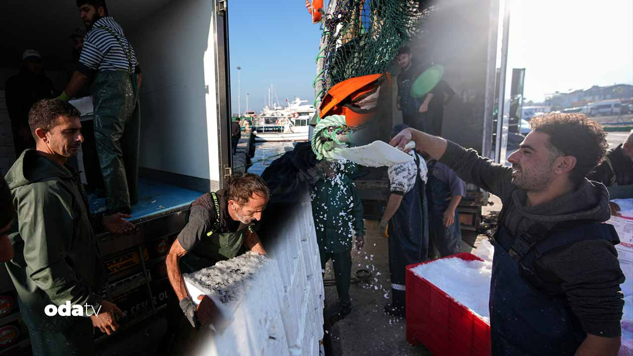 ege balikciliginda tayfa krizi o olmadan tekne kalkmaz 5wnPFtnp.jpg