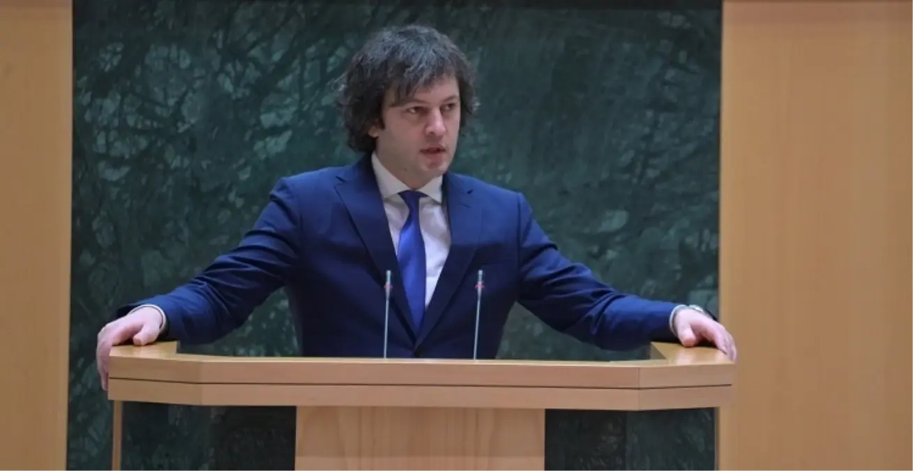 gurcistan basbakani yerel secim gosterileri hukumeti devirmek icin duzenlendi rX31fc8b