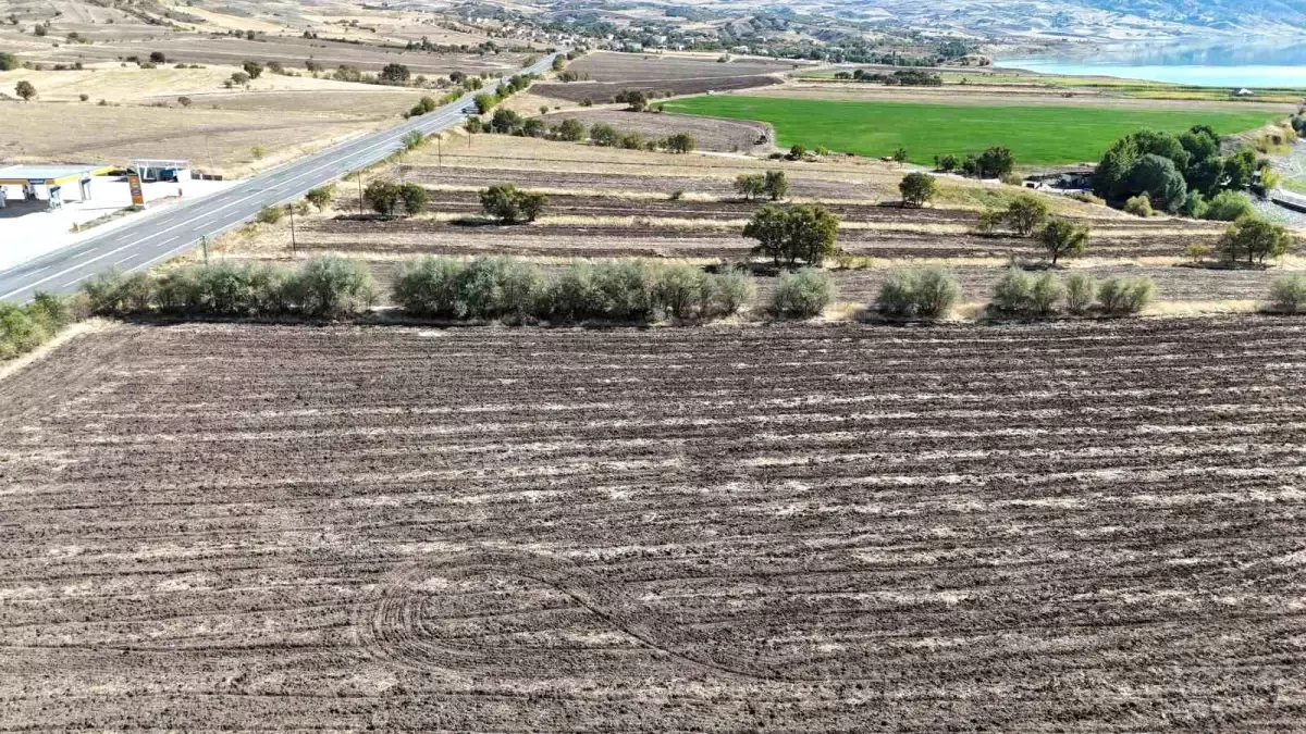 hava arslandan tuncelide seracilik hamlesi qjllvgqC.jpg