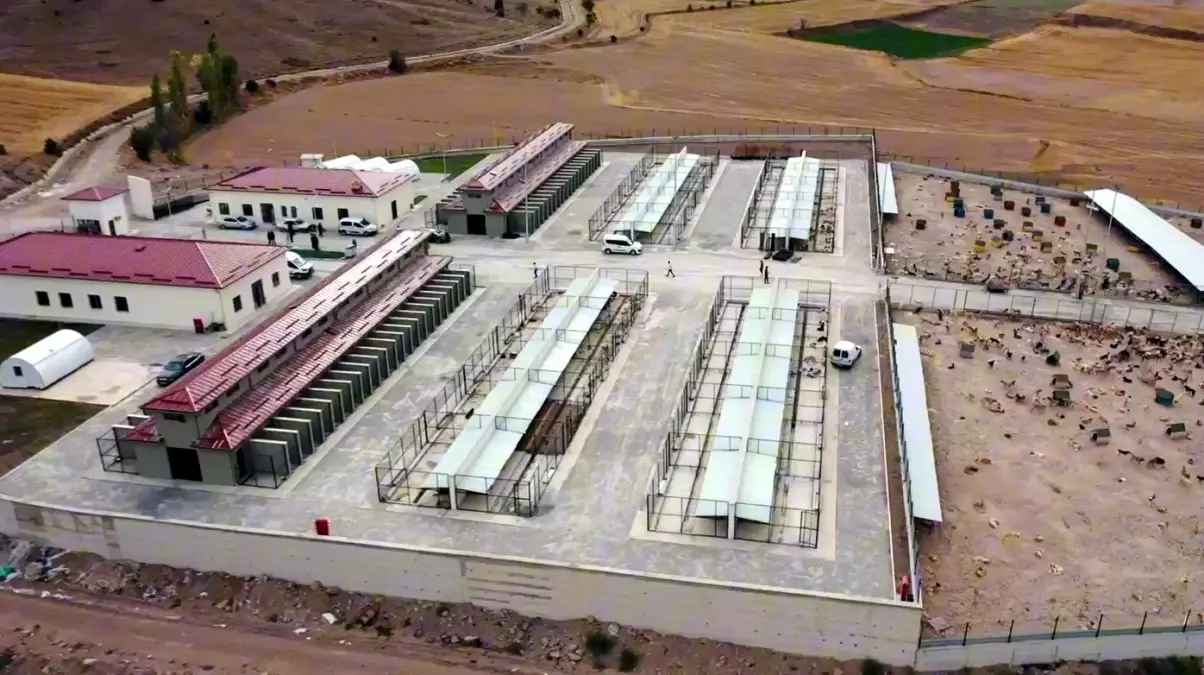 tokatta hayvan rehabilitasyon merkezi acildi TS8GNO6m.jpg