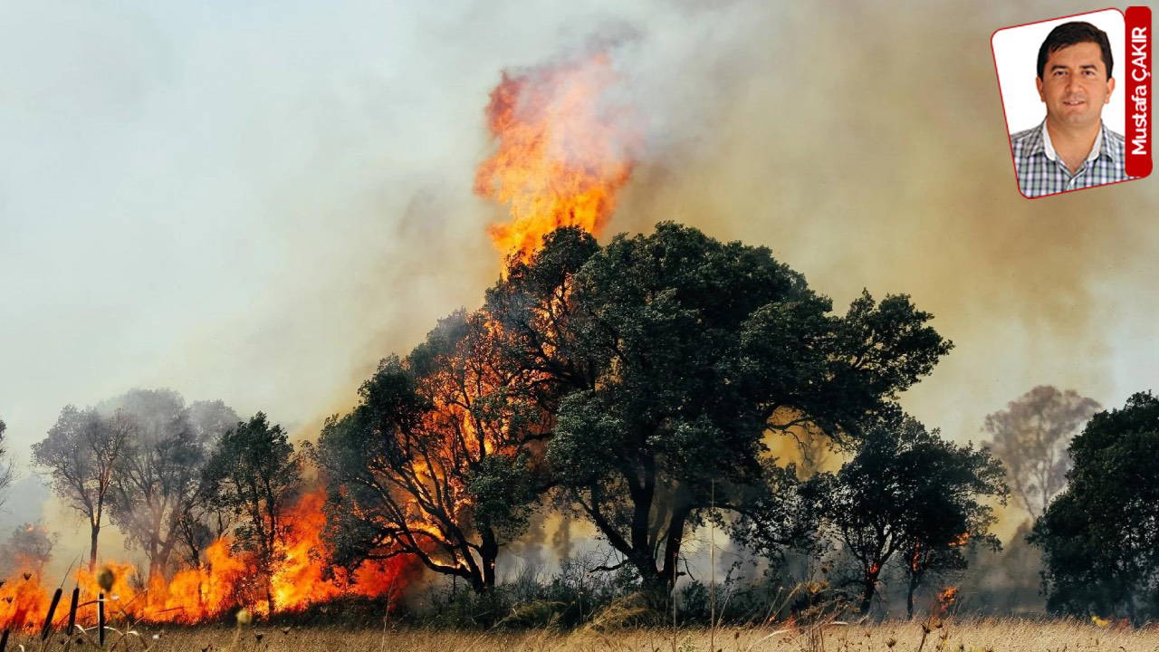 yanginlarda zarar goren ormanlik alanlarda aci bilanco netlesti gecen yildan daha fazla alan yandi 30 bin hektar kul oldu 6esc6tDT.jpg