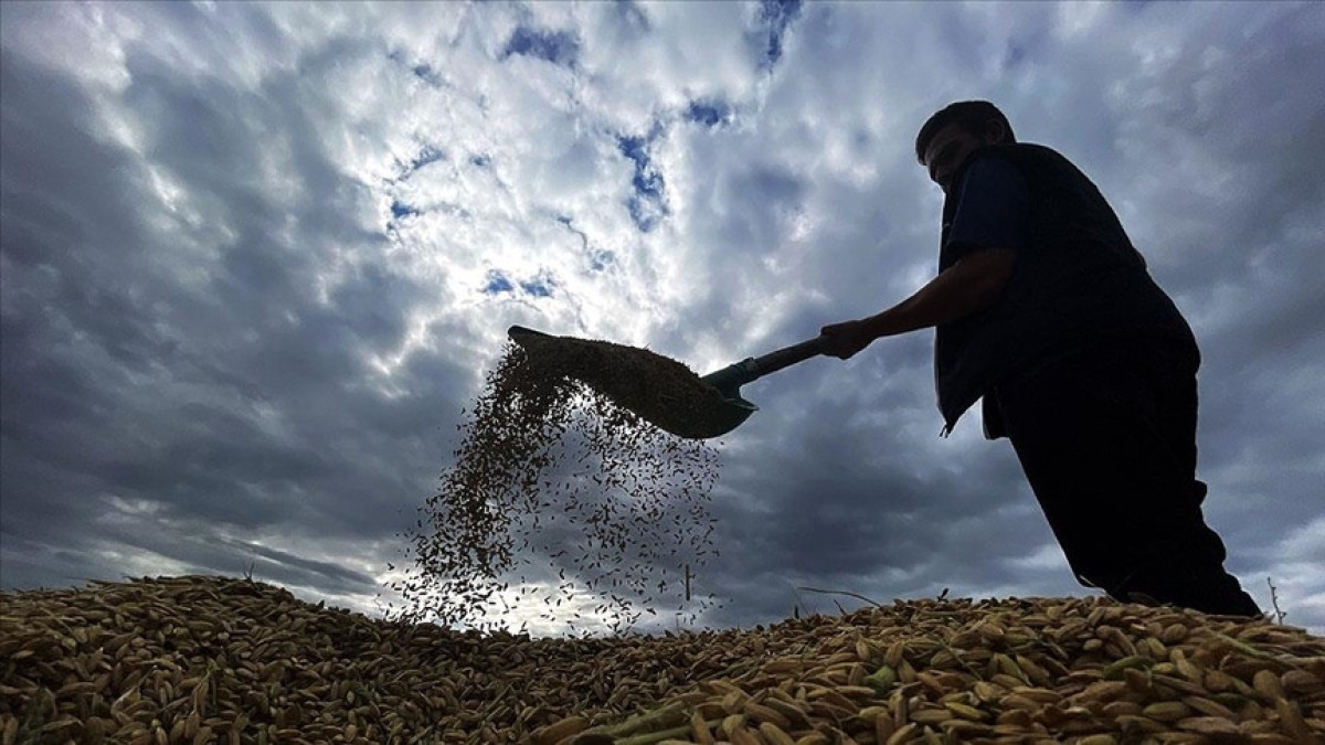zirai don desteginde ureticilere 17 milyar lira daha odenecek gG4ZPRYR.jpg