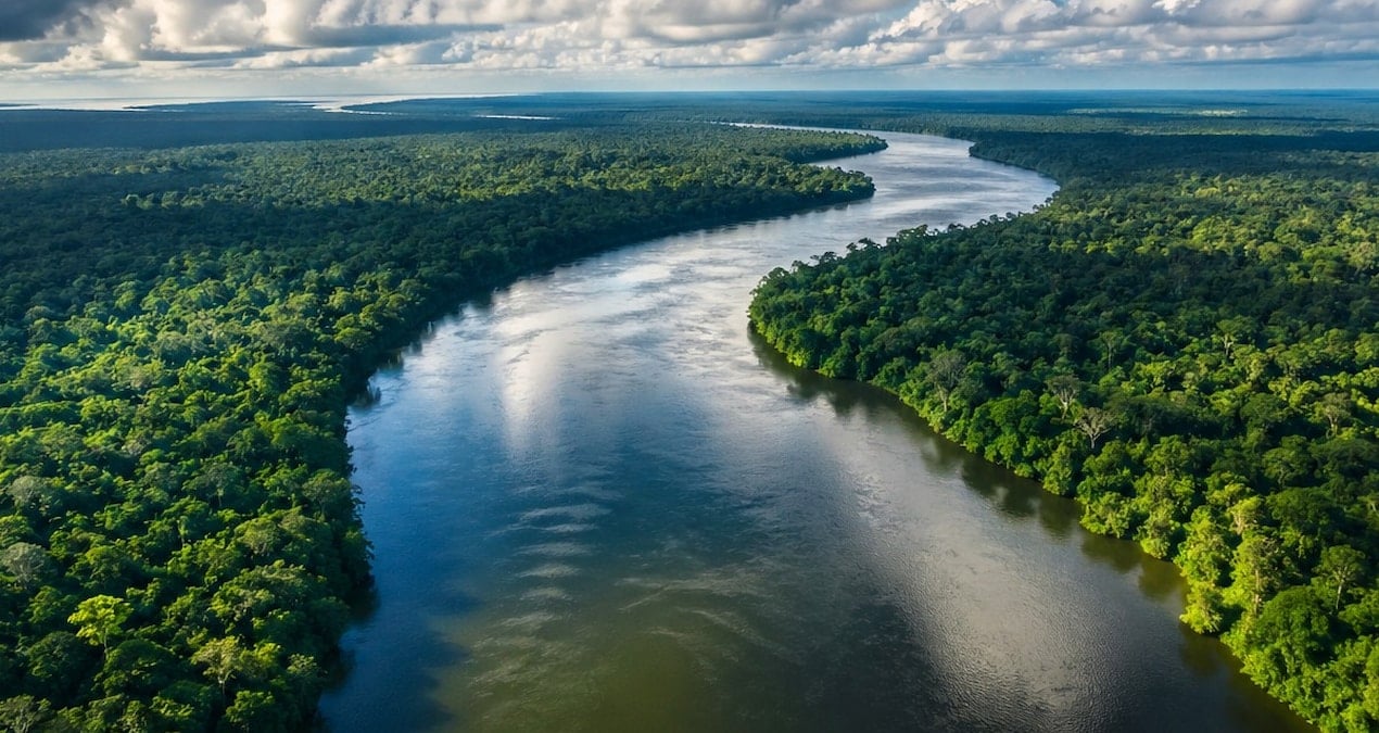 Amazon Nehri: İki Yakayı Birleştiremeyen Dev Su Yolu
