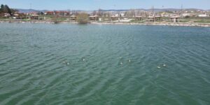 sivasta-ilk-defa-8-tane-birden-goruntulendi-sevincle-karsiladilar-uaU2PmhB